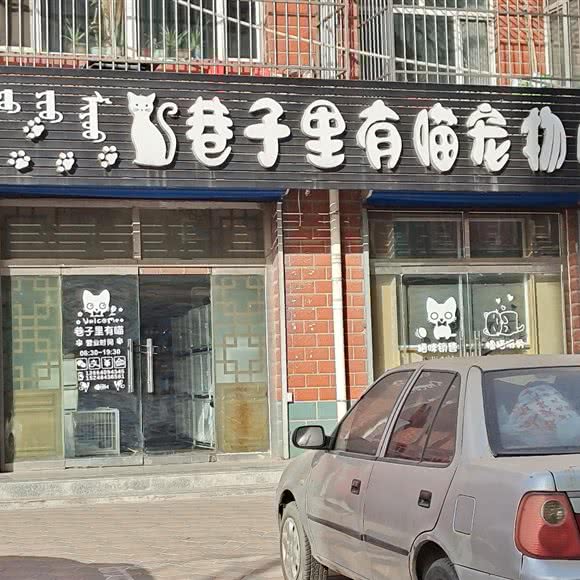 巷子里有喵宠物店:鄂尔多斯市准格尔旗