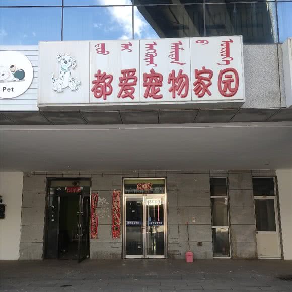 都爱宠物家园:鄂尔多斯市准格尔旗