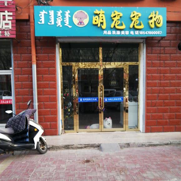萌宠宠物:巴彦淖尔市临河区