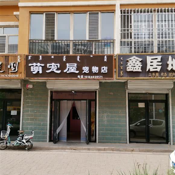 萌宠屋宠物店:巴彦淖尔市杭锦后旗