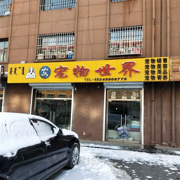 安宠物世界:巴彦淖尔市杭锦后旗