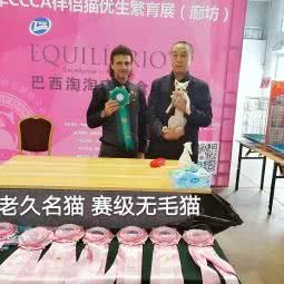 老久名猫:廊坊市广阳区新源天街附近