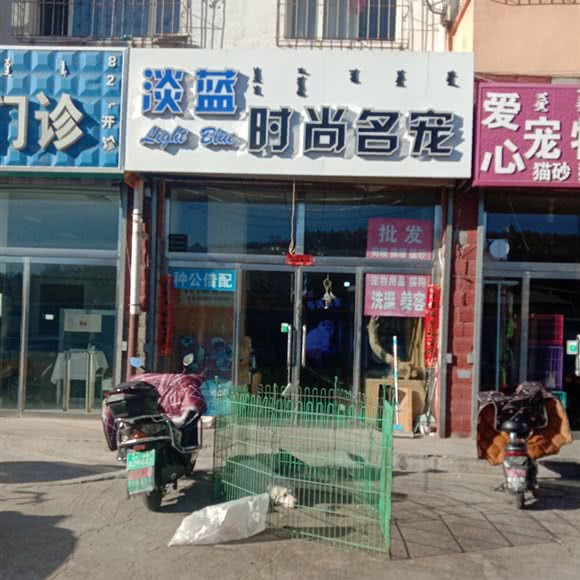 淡蓝时尚名宠:乌兰察布市集宁区
