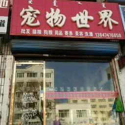 狗狗世界:乌兰察布市集宁区