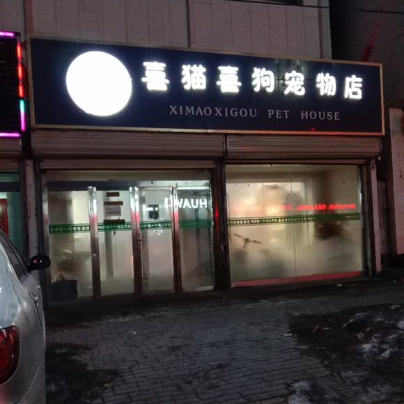 喜猫喜猫宠物店:乌兰察布市化德县
