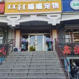 喵喵狗狗:兴安盟乌兰浩特市