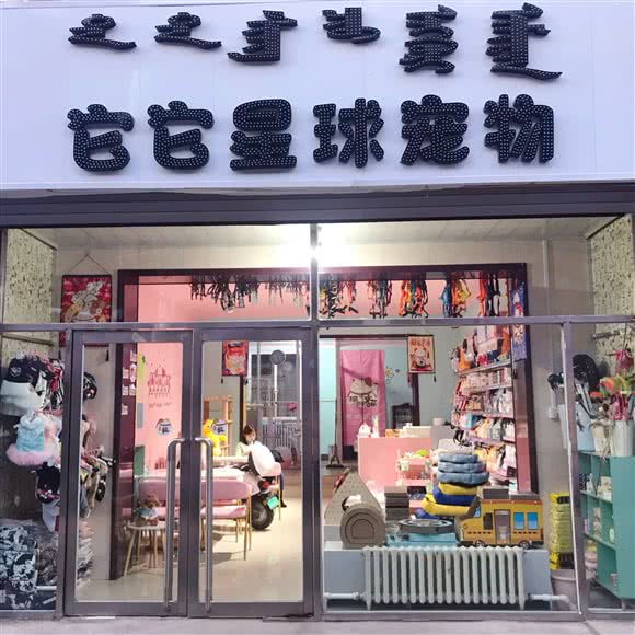 它它星球宠物:兴安盟乌兰浩特市