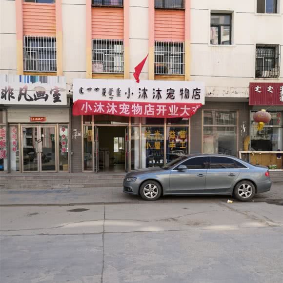 小沐沐宠物店:锡林郭勒盟锡林浩特市