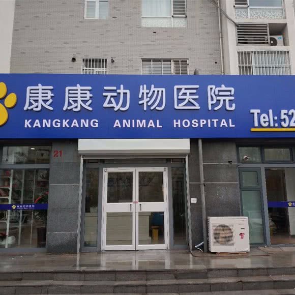 康康动物医院:廊坊市广阳区阿尔卡迪亚附近