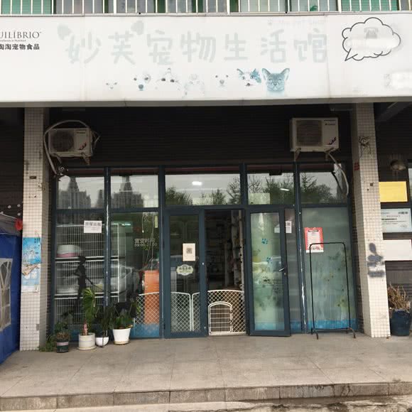 妙芙宠物生活馆:北京城区朝阳区北苑家园附近