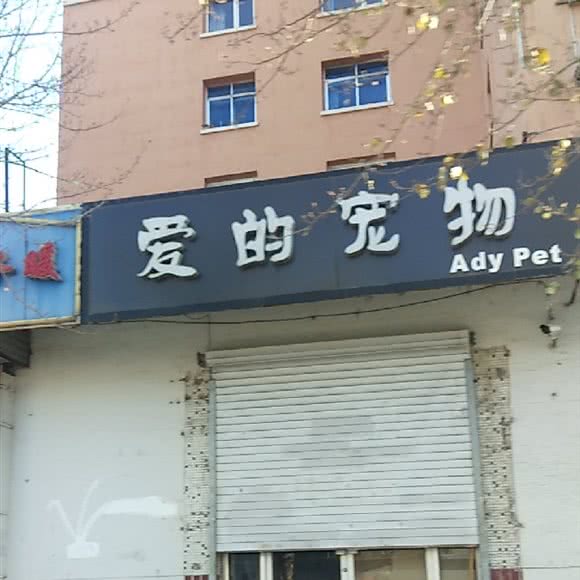 爱的宠物店:沈阳市大东区