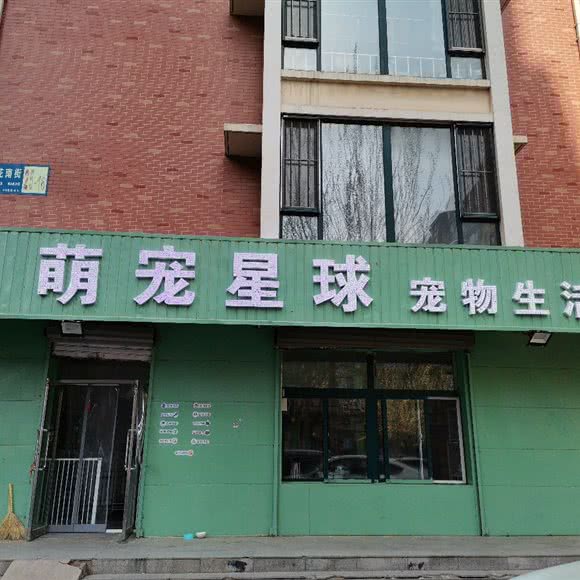 萌宠星球宠物生活馆:沈阳市大东区