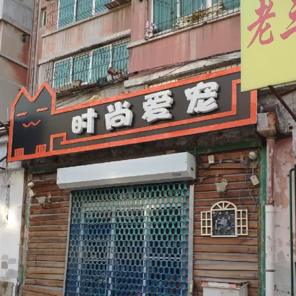 时尚爱宠(大东店):沈阳市大东区
