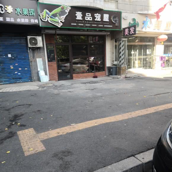 壹品宠屋:沈阳市大东区