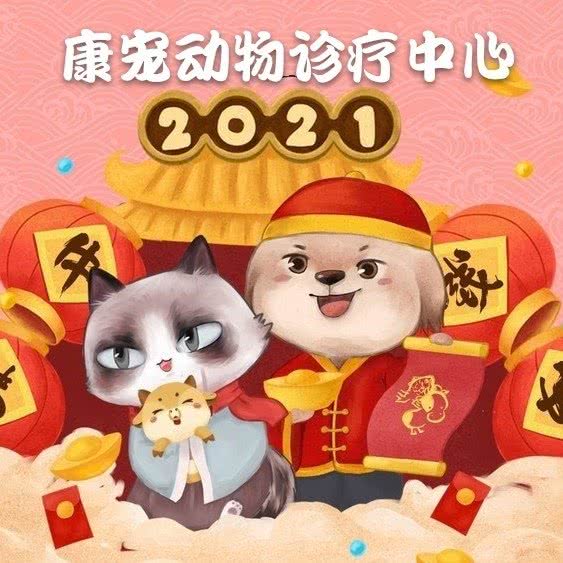 康宠动物诊疗中心:沈阳市大东区