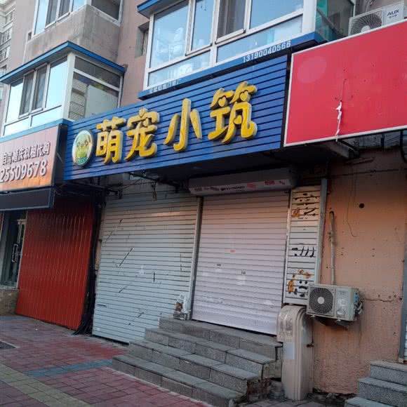 萌宠大筑:沈阳市皇姑区