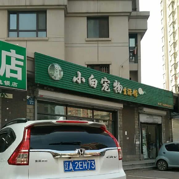 小白宠物生活馆:沈阳市铁西区