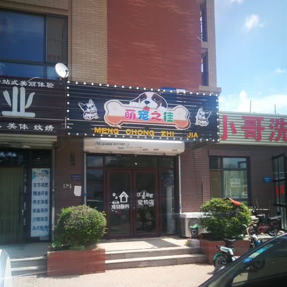 萌宠之佳:沈阳市铁西区