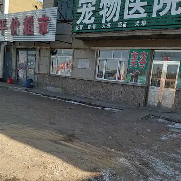 宠物医院:沈阳市铁西区