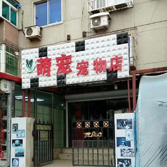 萌宠宠物店:沈阳市苏家屯区