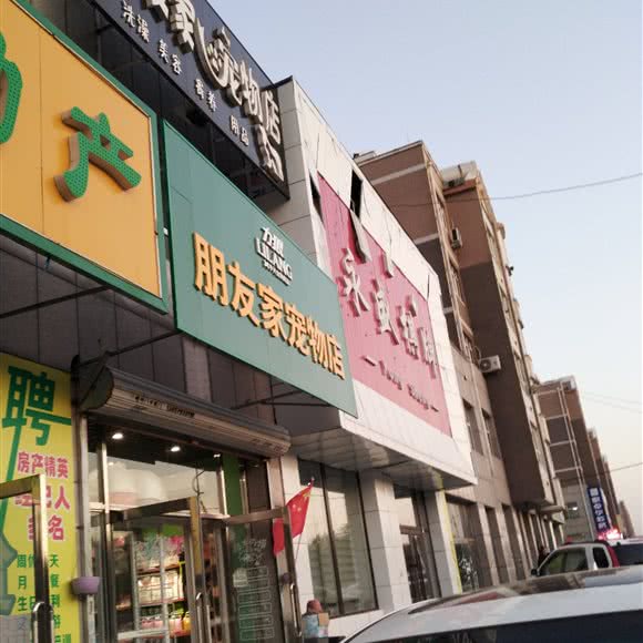 朋友家宠物店:沈阳市浑南区