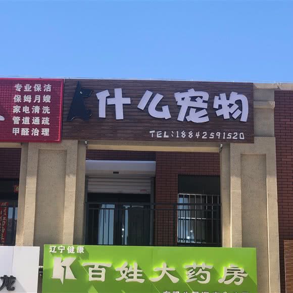 什么宠物:沈阳市浑南区