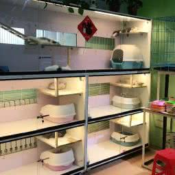 玲珑宠物:沈阳市沈北新区