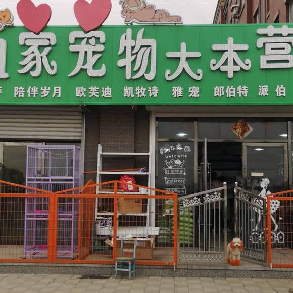 妞妞家宠物馆:沈阳市于洪区