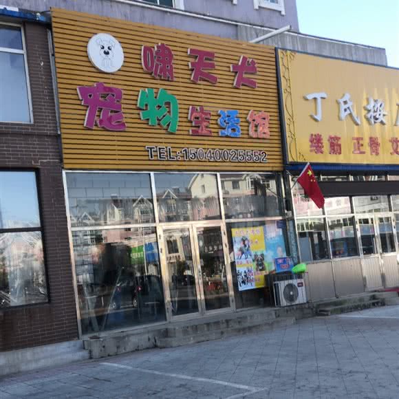 啸天犬宠物生活馆:沈阳市辽中区