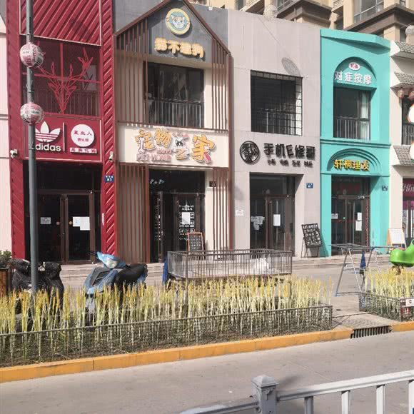 猫不理猫宠物之家:衡水市桃城区71街区/新爱特附近