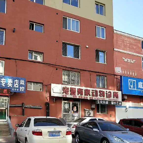 宠爱有家动物诊所:沈阳市辽中区