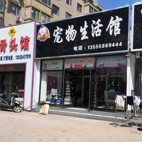 淘气e族宠物生活馆:沈阳市康平县