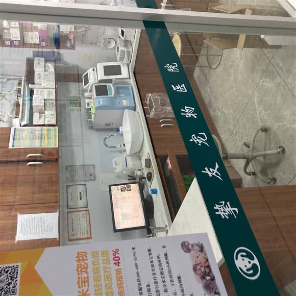 挚友宠物医院:衡水市桃城区和平西路附近