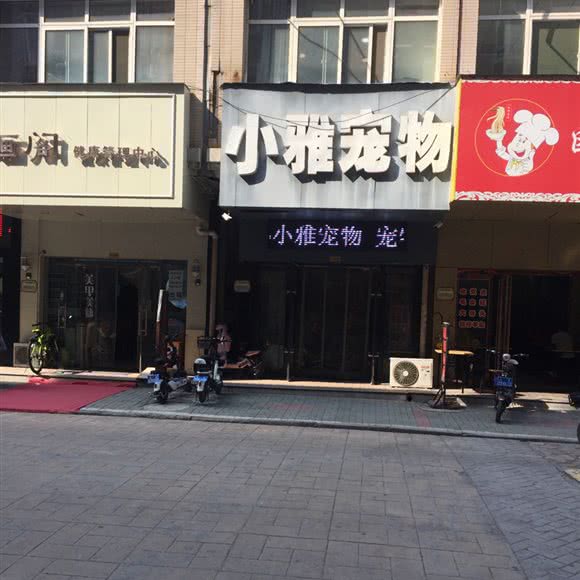 小雅宠物(学府街店):太原市小店区体育路附近