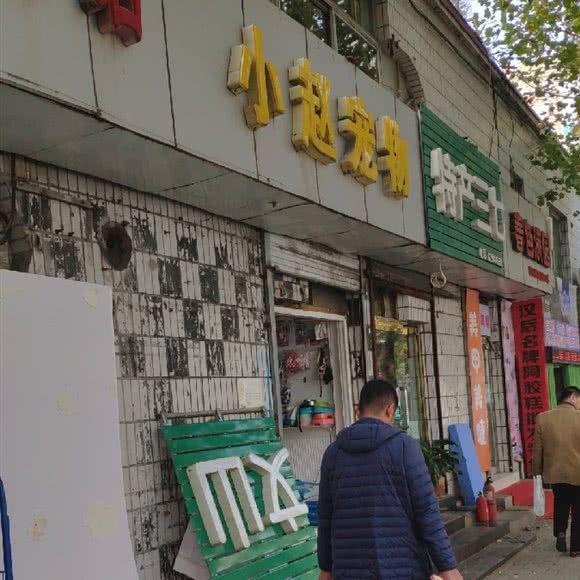 小赵宠物:大连市中山区