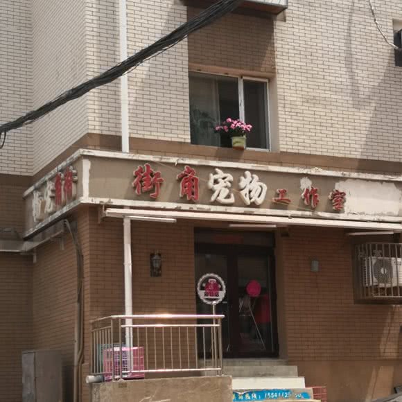 街角宠物工作室:大连市中山区