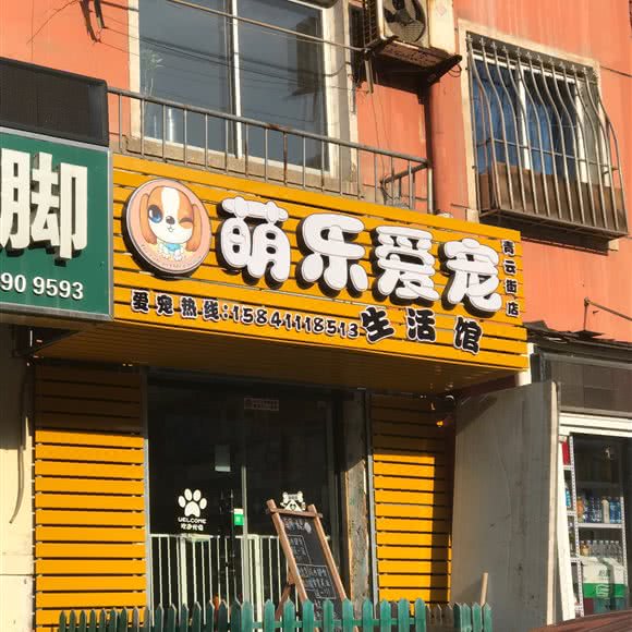 萌乐爱宠生活馆(青云街店):大连市中山区