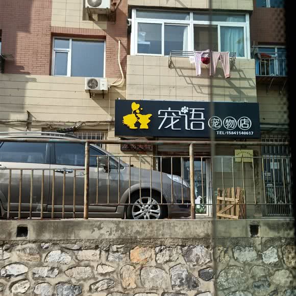 宠语 宠物店:大连市中山区