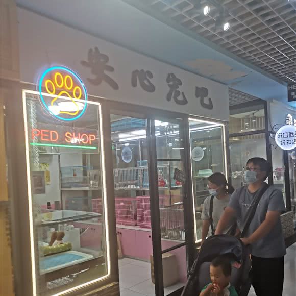 安心宠吧:大连市沙河口区