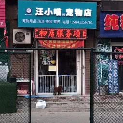 旺小喵的宠物店:大连市沙河口区