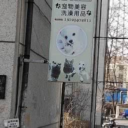 四只宠物店:大连市沙河口区