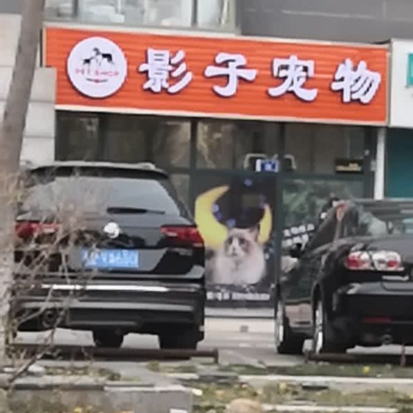 影子面包店:大连市沙河口区