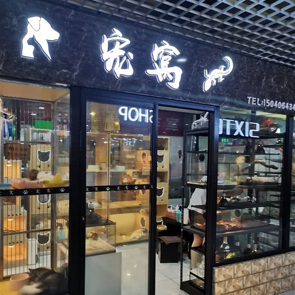 宠窝:大连市沙河口区