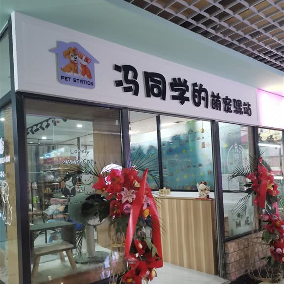冯同学的萌宠驿站:大连市沙河口区