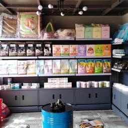 这里没有宠物店:大连市甘井子区