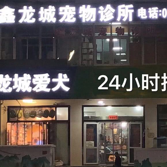 鑫龙城宠物诊所(体育路二店):太原市小店区亲贤街附近