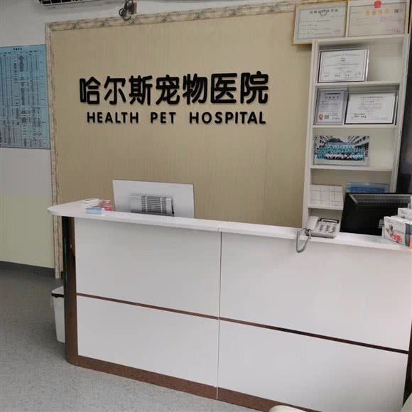 哈尔斯宠物医院:太原市小店区亲贤街附近