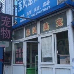 东风宠物美容:大连市甘井子区