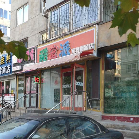 酷宠派宠物用品店:大连市甘井子区
