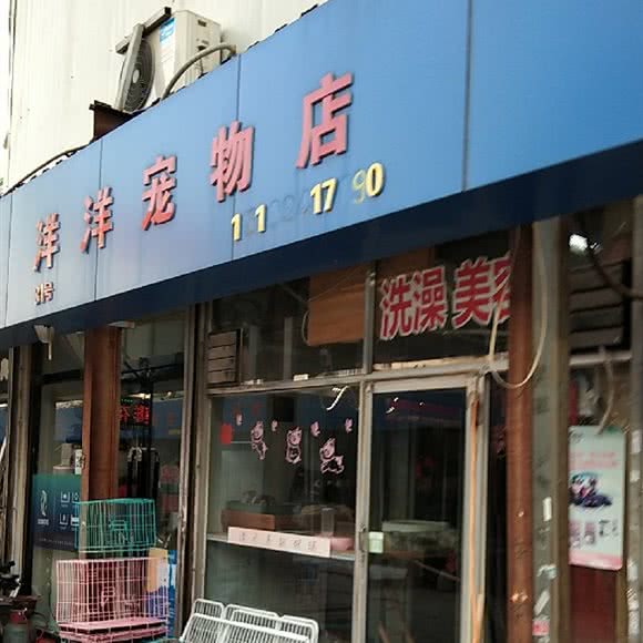 洋洋宠物店(八一街):太原市小店区长风街附近
